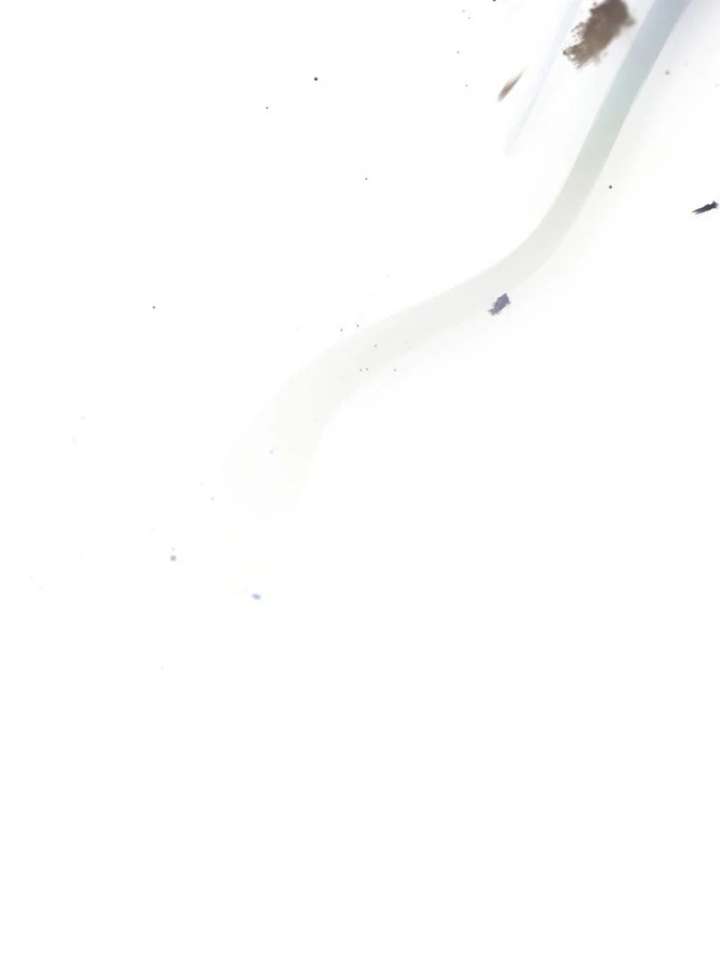 Father, I Won’t Do Anything Chapter 45 420 041