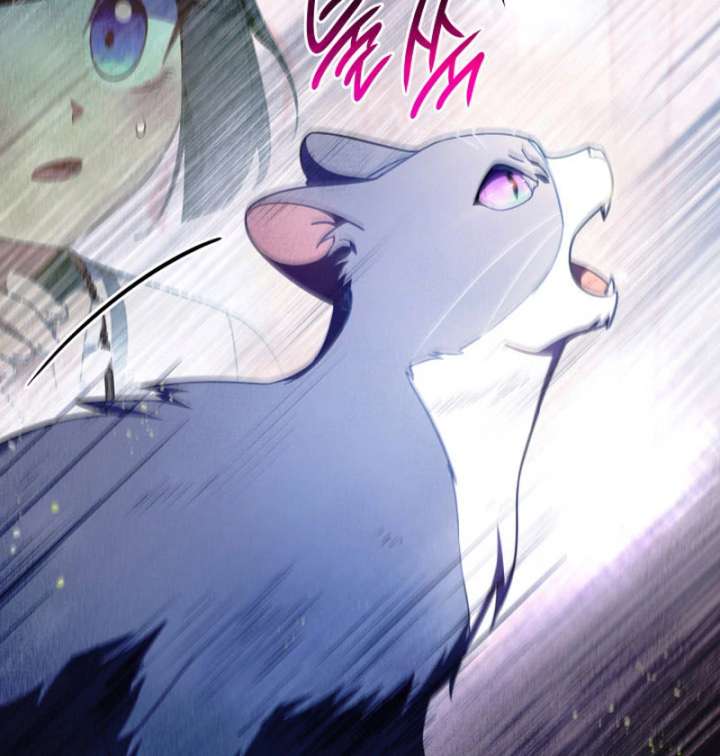 Father, I Won’t Do Anything Chapter 45 435 056