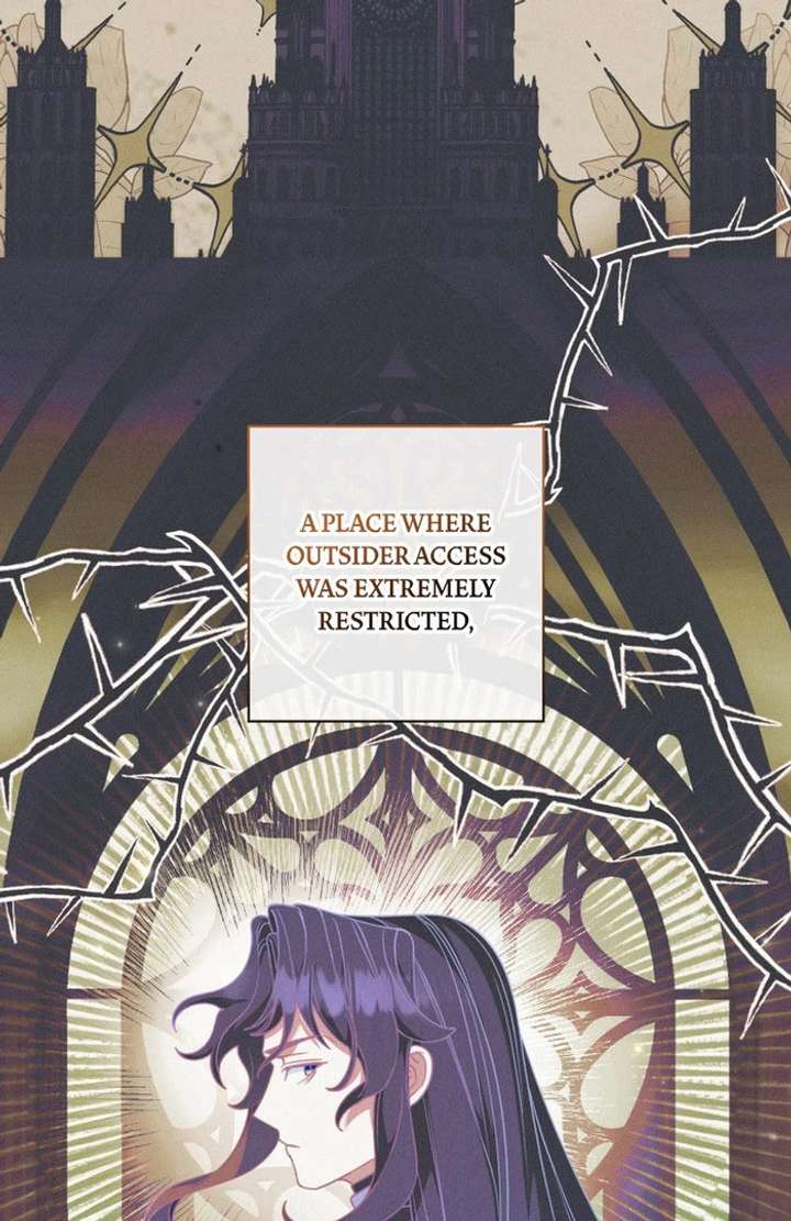 Father, I Won’t Do Anything Chapter 50 446 082