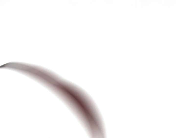 Father, I Won’t Do Anything Chapter 50 468 104