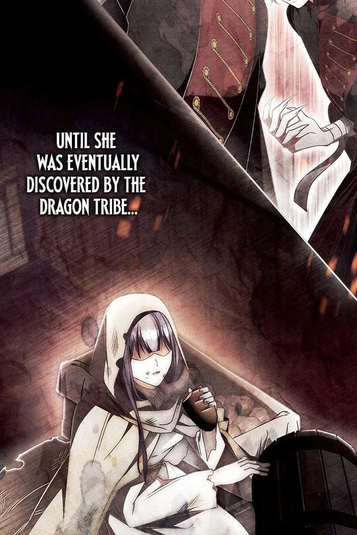 Father, I Won’t Do Anything Chapter 56 399 011