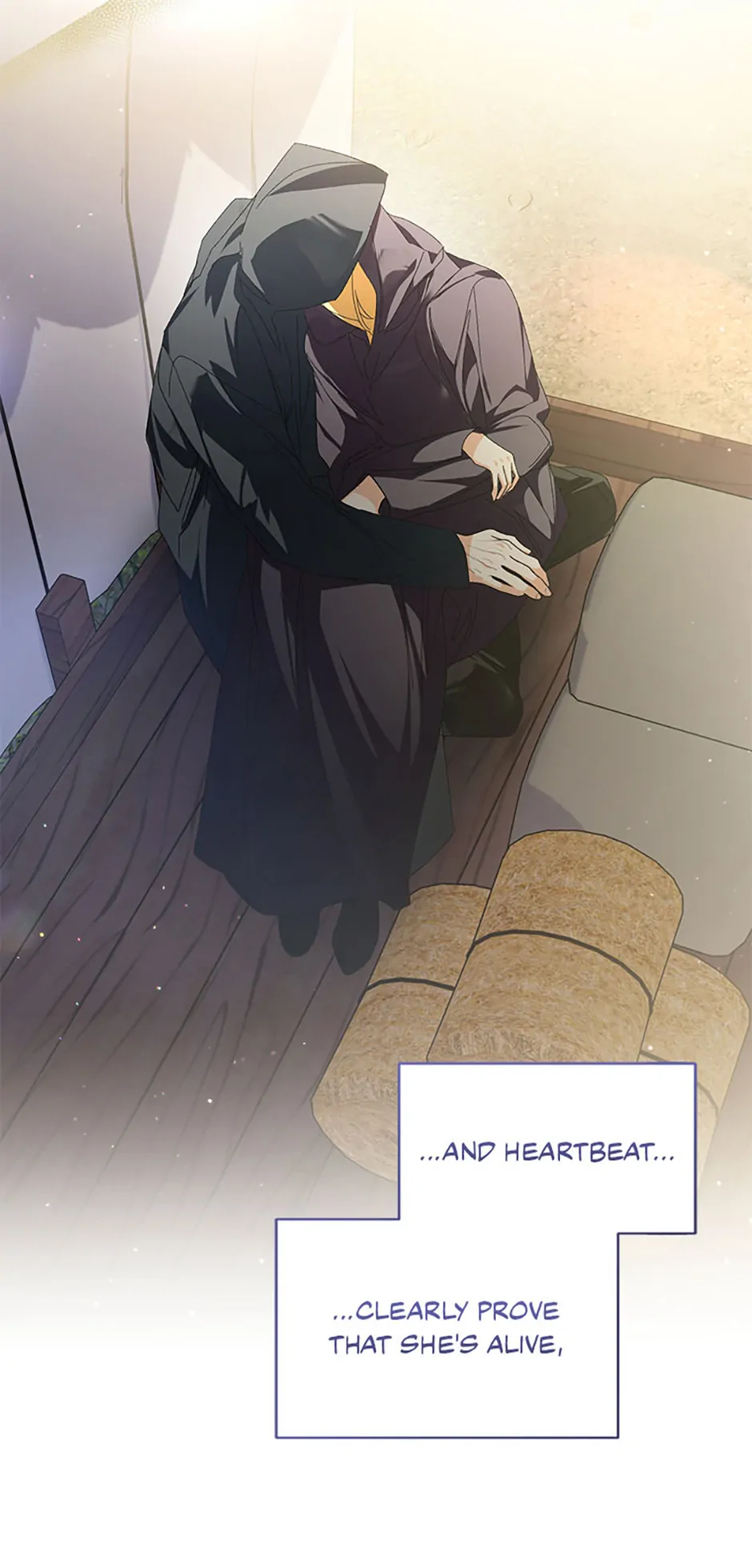 Fell Into the Arms of a Mad Villain Chapter 52 354 28