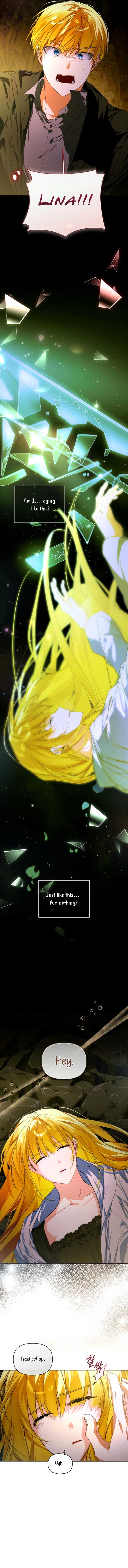 Fell Into the Arms of a Mad Villain Chapter 60 62 6