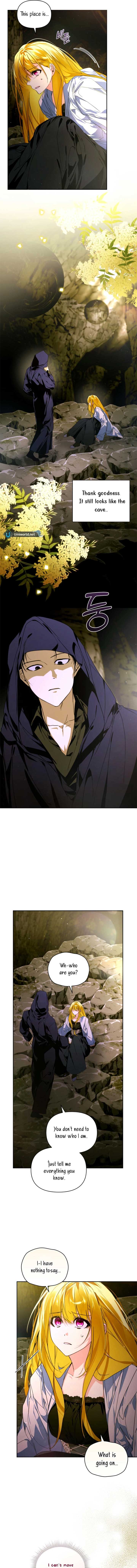 Fell Into the Arms of a Mad Villain Chapter 60 63 7