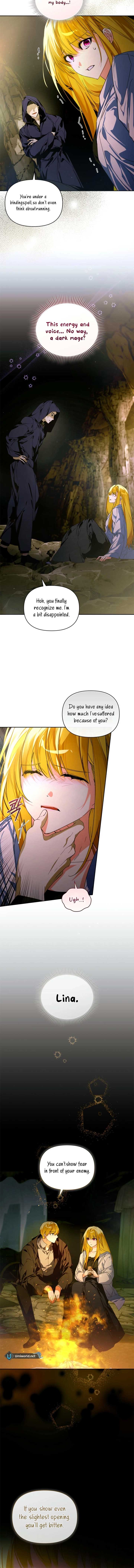 Fell Into the Arms of a Mad Villain Chapter 60 64 8