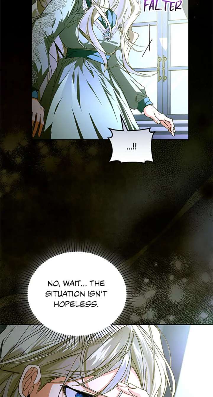 Fell Into the Arms of a Mad Villain Chapter 74 269 34