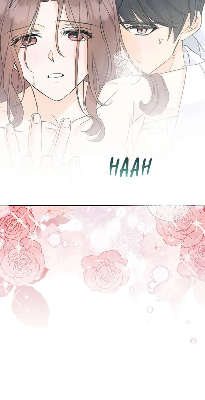 Flee if You Can’t Avoid It Chapter 44 255 47