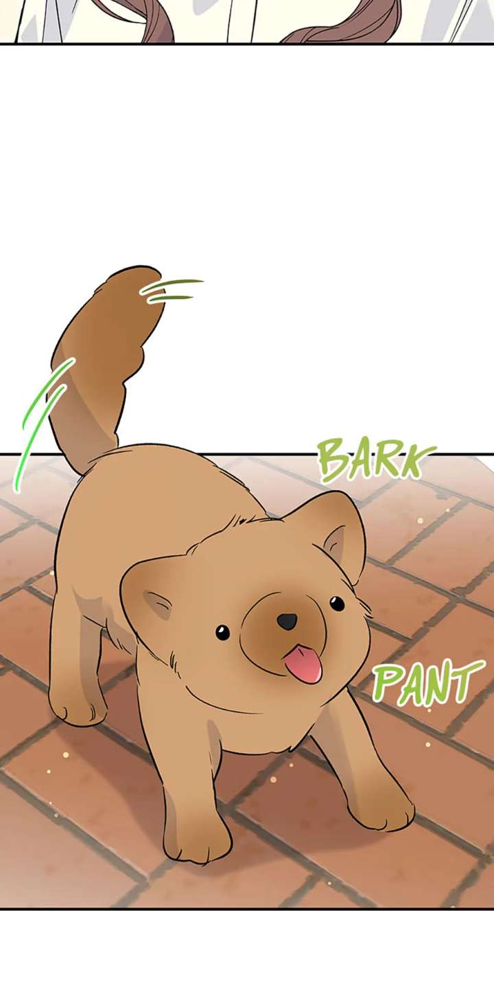 Flee if You Can’t Avoid It Chapter 66 213 02