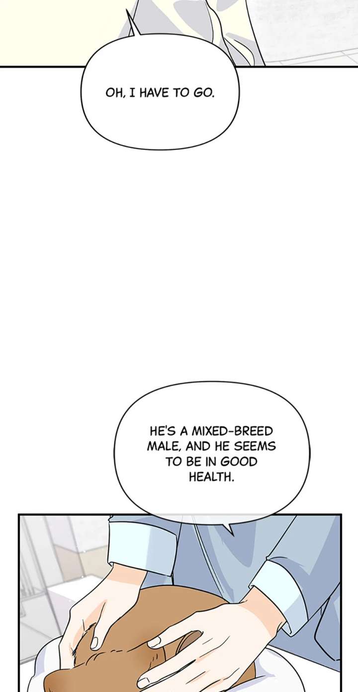 Flee if You Can’t Avoid It Chapter 66 222 11