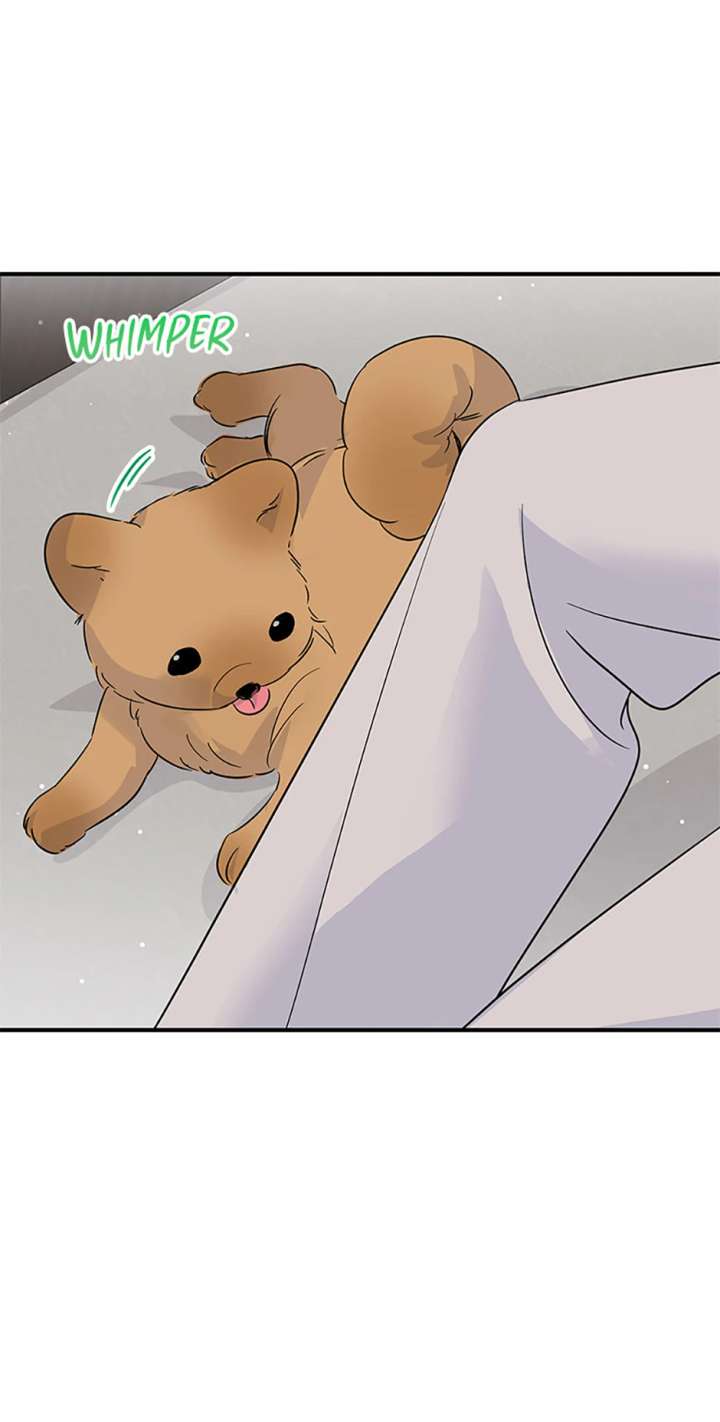 Flee if You Can’t Avoid It Chapter 68 259 36