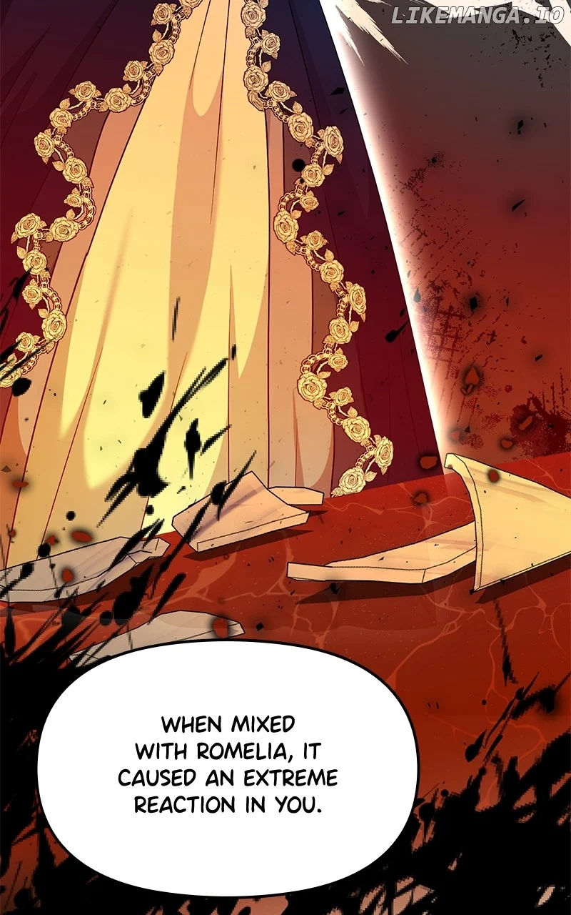 For The Princess Who Will Disappear Chapter 22 410 079