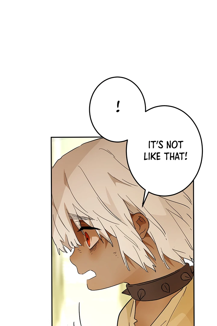 From Six to Sovereignty: The Girl Who Ruled Chapter 42 347 ch 42 19