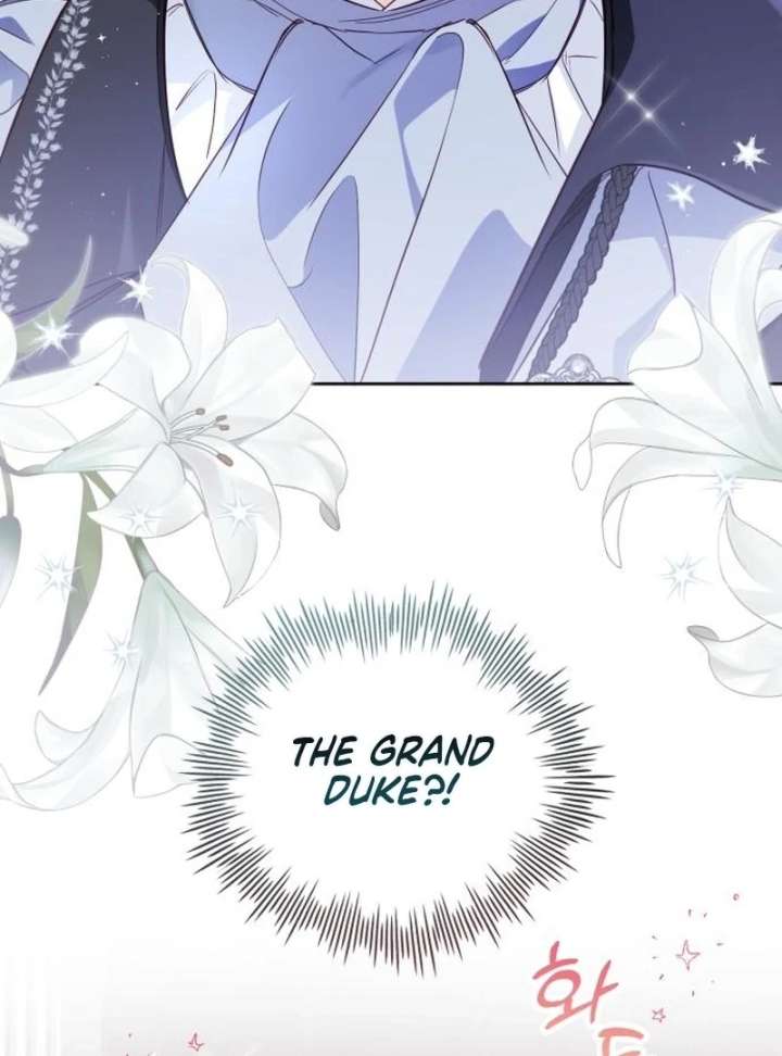 Grand Duchess’s Constitution Chapter 27 458 103