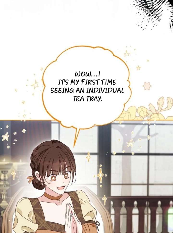 Grand Duchess’s Constitution Chapter 27 374 19