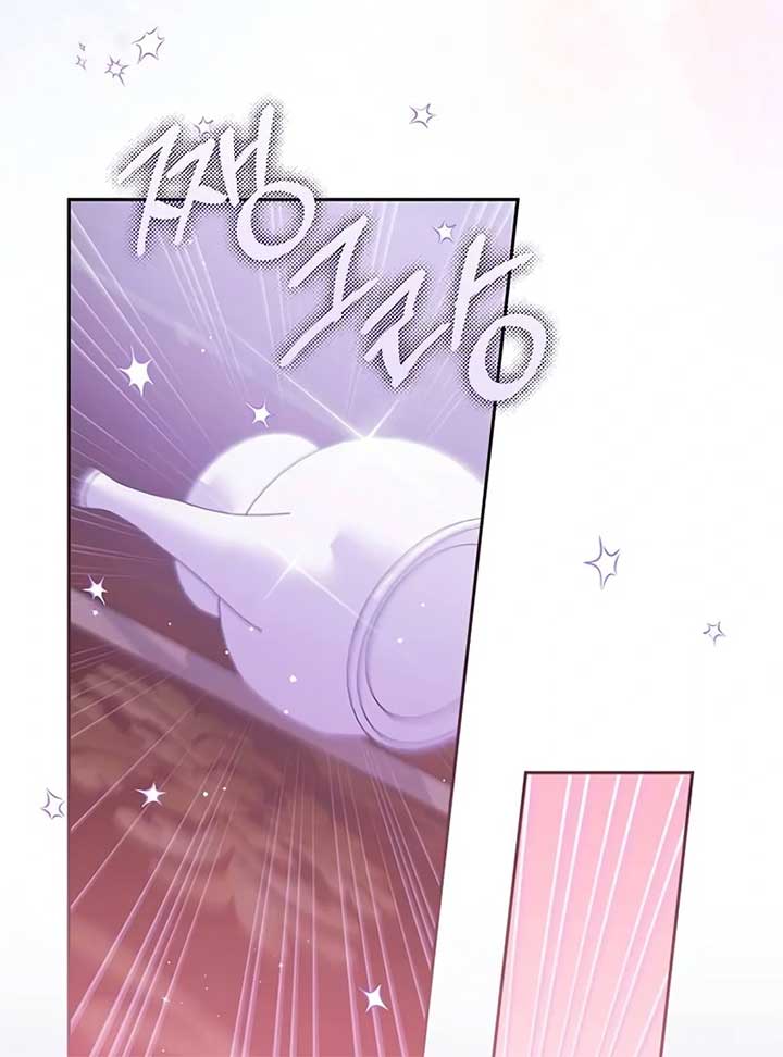 Grand Duchess’s Constitution Chapter 8 558 068