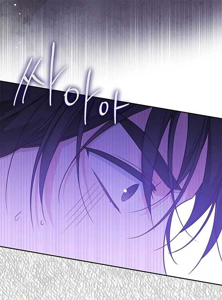 Grand Duchess’s Constitution Chapter 8 568 078