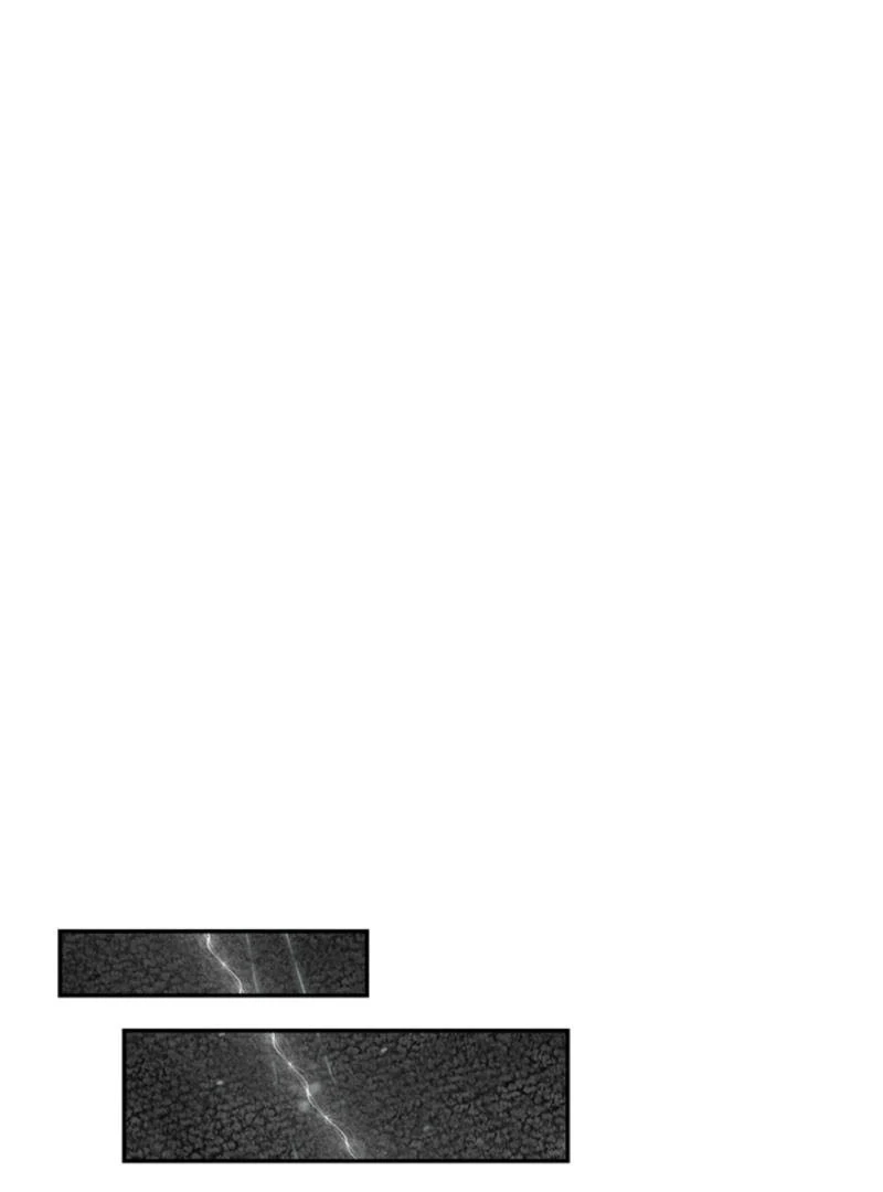 Help, My Secret Identity! Chapter 6 711 ch 6 152