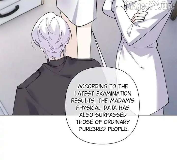 Her Marriage Was Called Off at Daytime, the Cutely Fierce Commander Asked Her For a Hug at Night Chapter 141 272 61