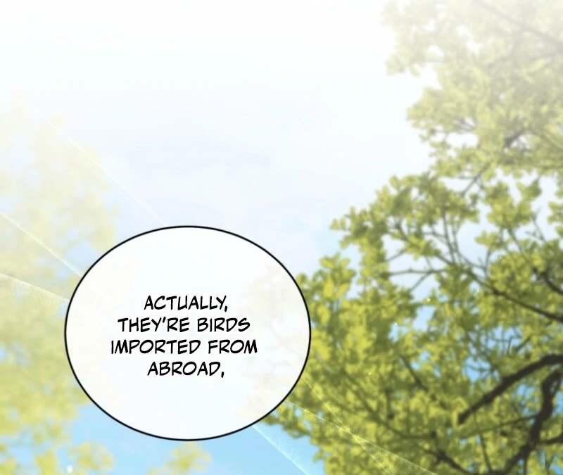 Honey, I Think That’s a Misunderstanding Chapter 31 419 ch 31 34