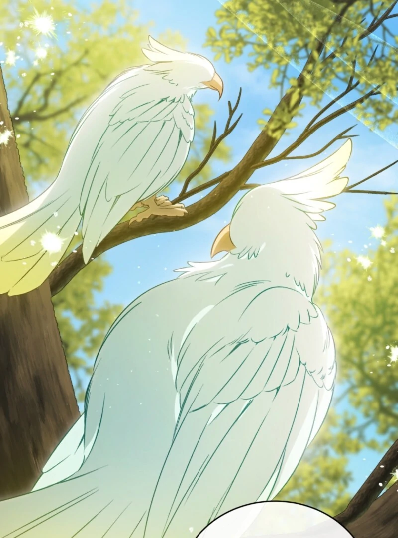 Honey, I Think That’s a Misunderstanding Chapter 31 420 ch 31 35