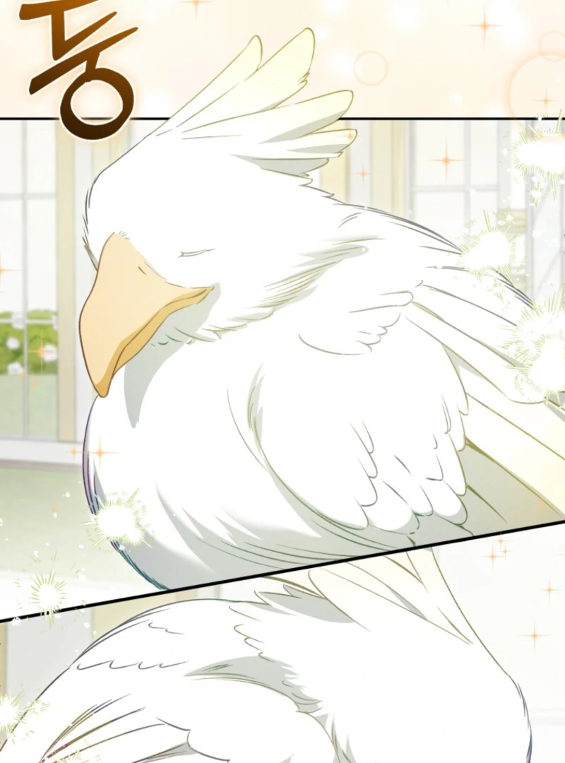 Honey, I Think That’s a Misunderstanding Chapter 31 466 ch 31 81