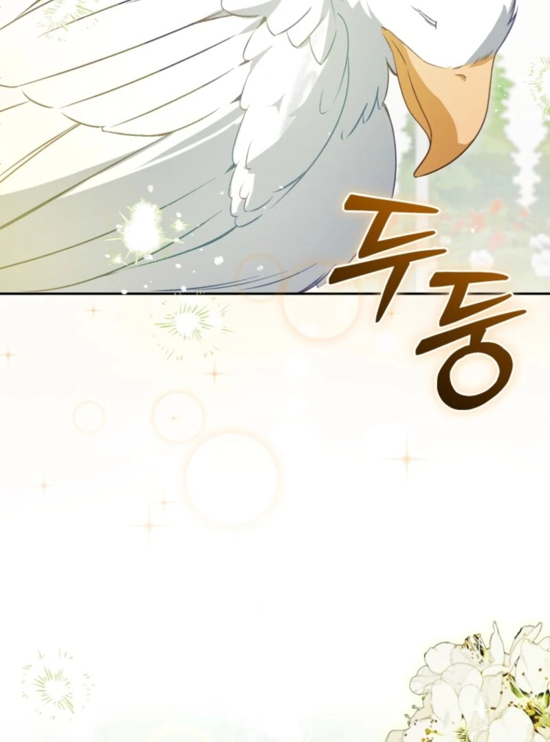 Honey, I Think That’s a Misunderstanding Chapter 31 467 ch 31 82