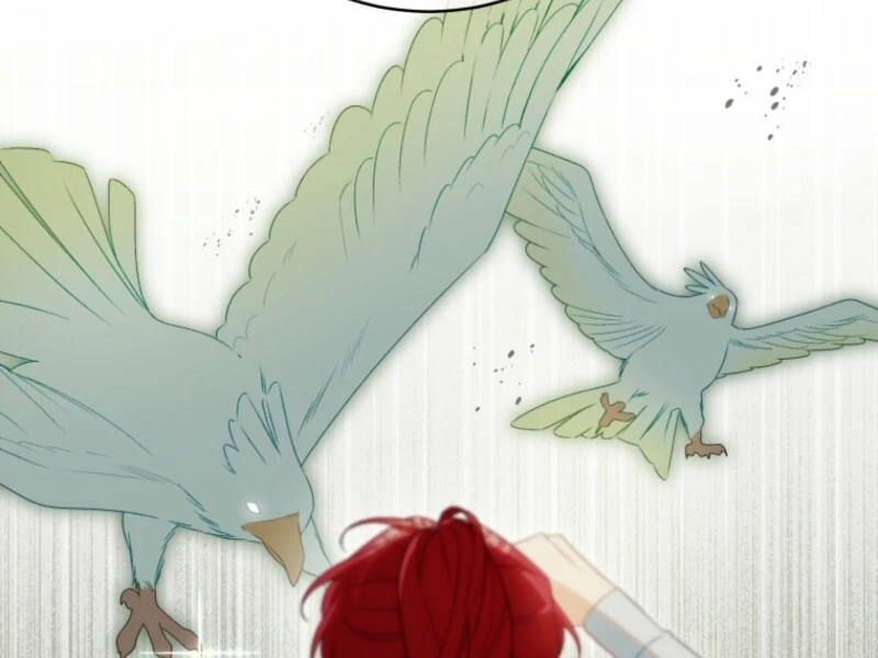 Honey, I Think That’s a Misunderstanding Chapter 31 474 ch 31 89