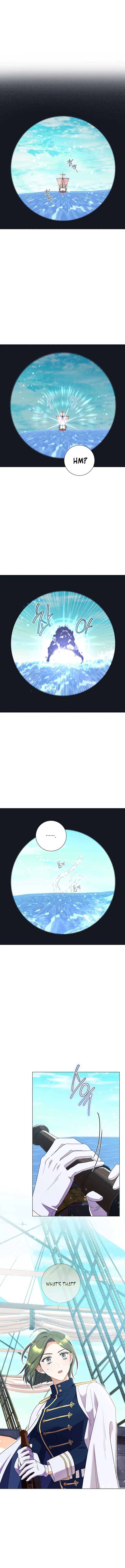 How Can There be a Divorce When We Haven’t Even Married, Your Majesty? Chapter 31 72 11