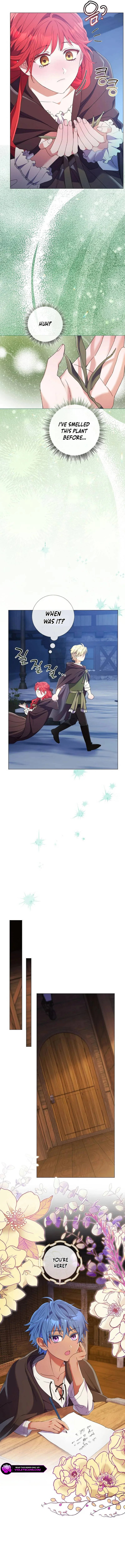 How Can There be a Divorce When We Haven’t Even Married, Your Majesty? Chapter 45 67 ch 45 9