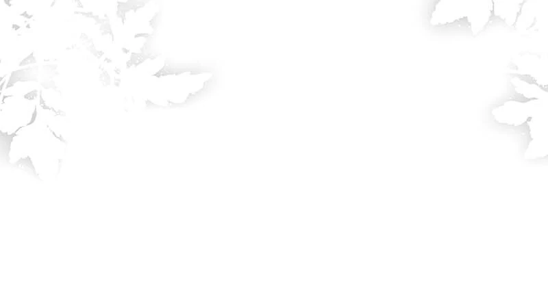 How to Make My Tyrant Husband Love Me Chapter 45 246 41