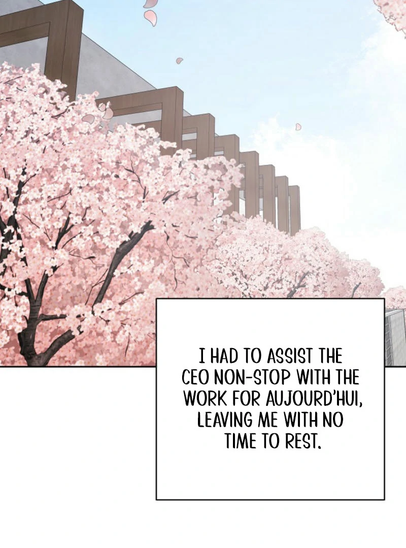 How to survive secretary Hong Chapter 40 574 114