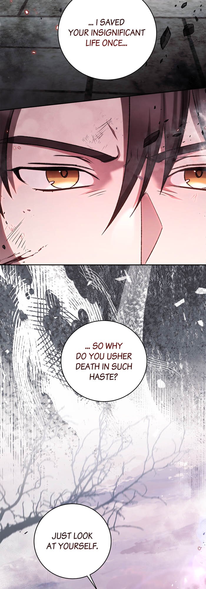 How to Tame the Merciless Villain Chapter 67 194 ch 67 31