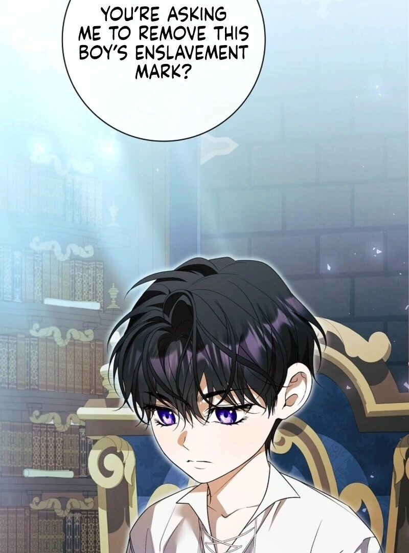 I Adopted a Villainous Dad Chapter 98 381 047