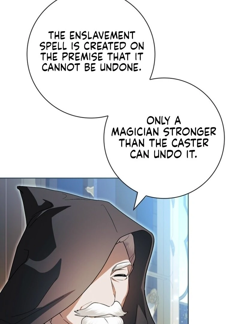 I Adopted a Villainous Dad Chapter 98 385 051