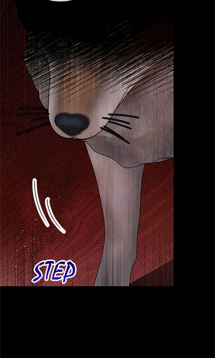 I Am A Daughter Loved By The Devil Chapter 112 354 62