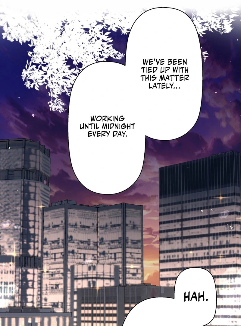 I Became a Divorce Lawyer for My First Love Chapter 36 352 027