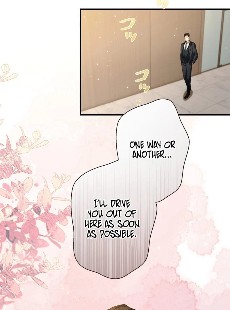 I Became a Divorce Lawyer for My First Love Chapter 36 388 063