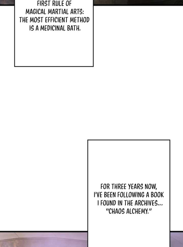 I Became a Genius at the Academy in a World Where Magic Reigns Supreme Chapter 2 739 117