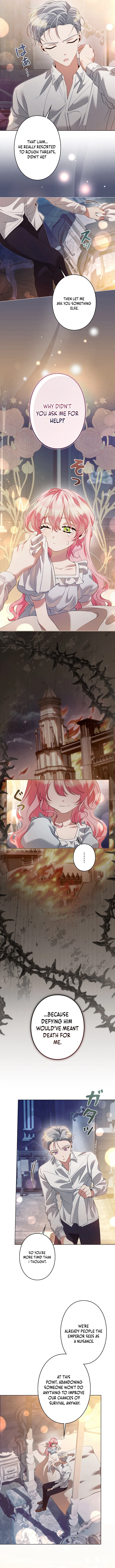 I Became a Miserable Extra in a Healing-Genre Novel Chapter 36 45 05