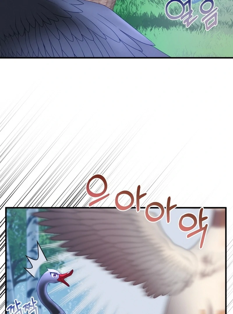 I Became The Black Swan Mother of The White Swan Princess Chapter 14 476 ch 14 100