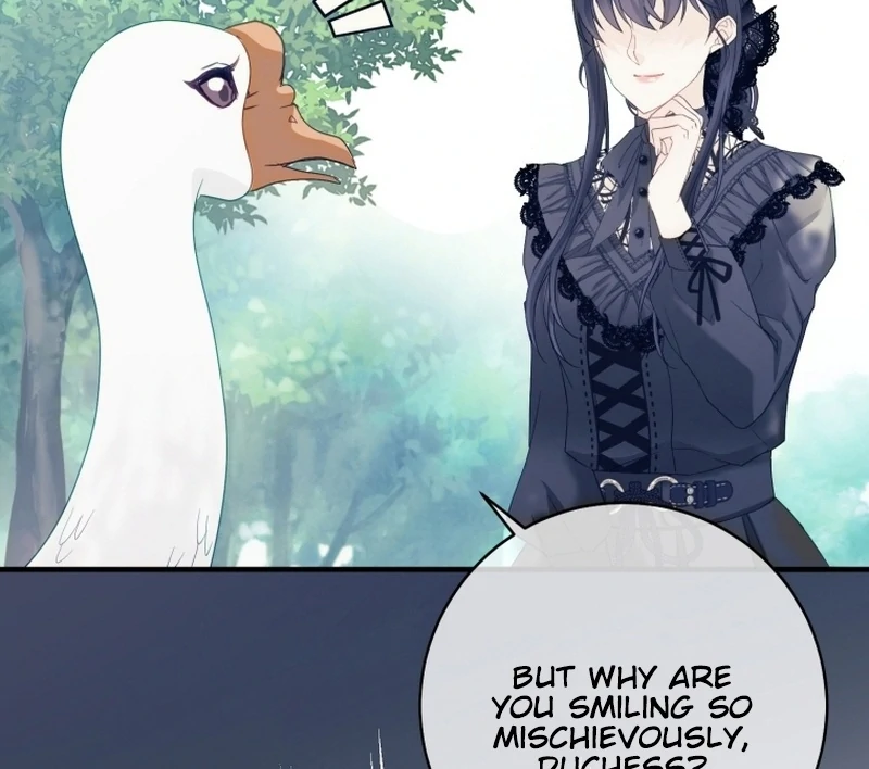 I Became The Black Swan Mother of The White Swan Princess Chapter 14 390 ch 14 14