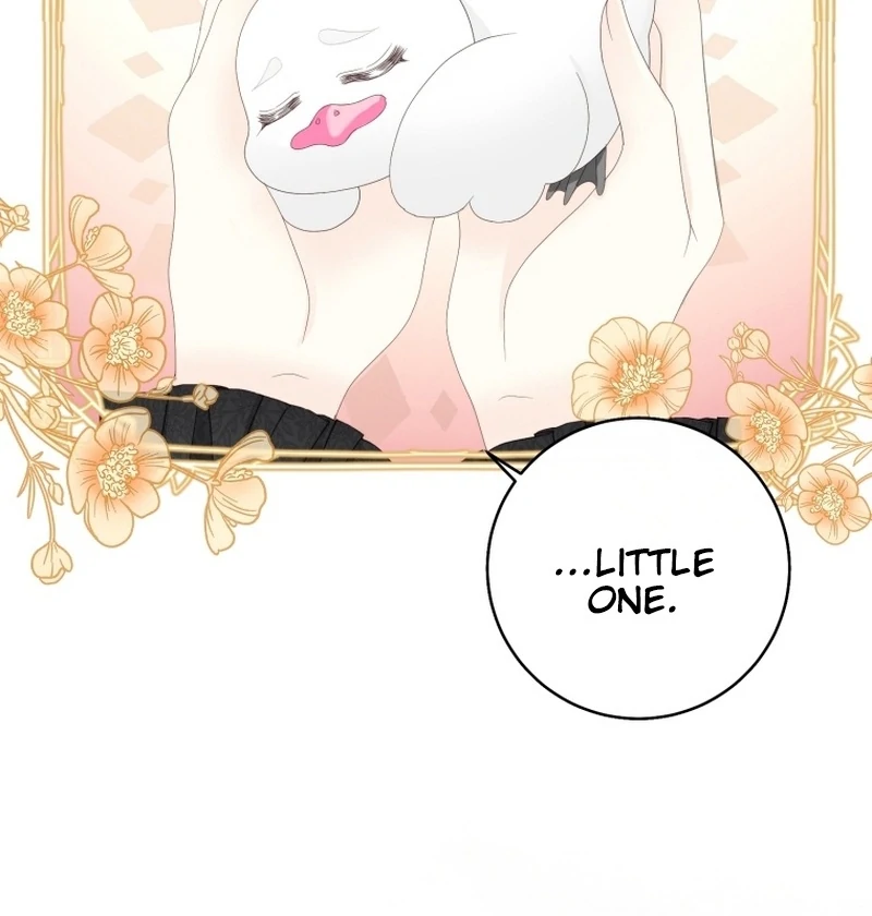 I Became The Black Swan Mother of The White Swan Princess Chapter 14 419 ch 14 43