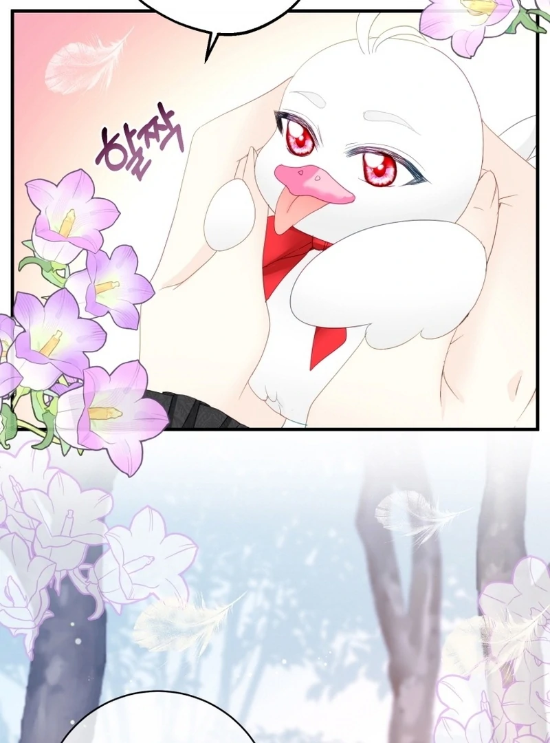 I Became The Black Swan Mother of The White Swan Princess Chapter 14 433 ch 14 57