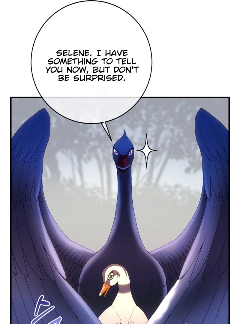 I Became The Black Swan Mother of The White Swan Princess Chapter 14 469 ch 14 93