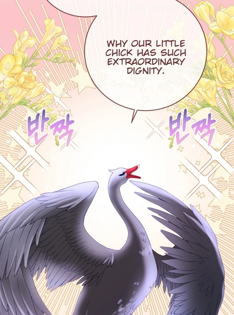 I Became The Black Swan Mother of The White Swan Princess Chapter 14 471 ch 14 95