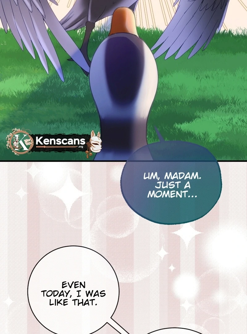 I Became The Black Swan Mother of The White Swan Princess Chapter 14 472 ch 14 96