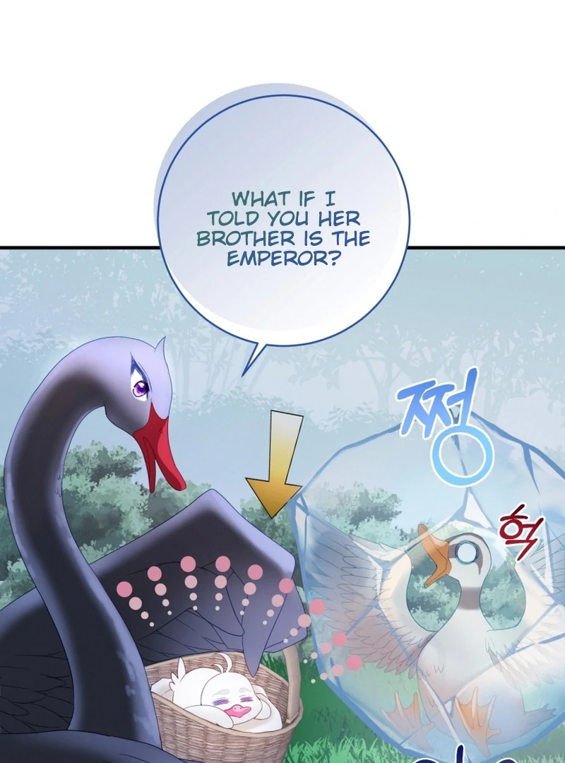 I Became The Black Swan Mother of The White Swan Princess Chapter 14 475 ch 14 99