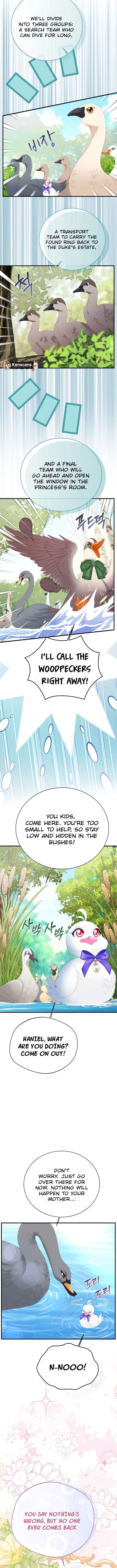 I Became The Black Swan Mother of The White Swan Princess Chapter 50 61 09