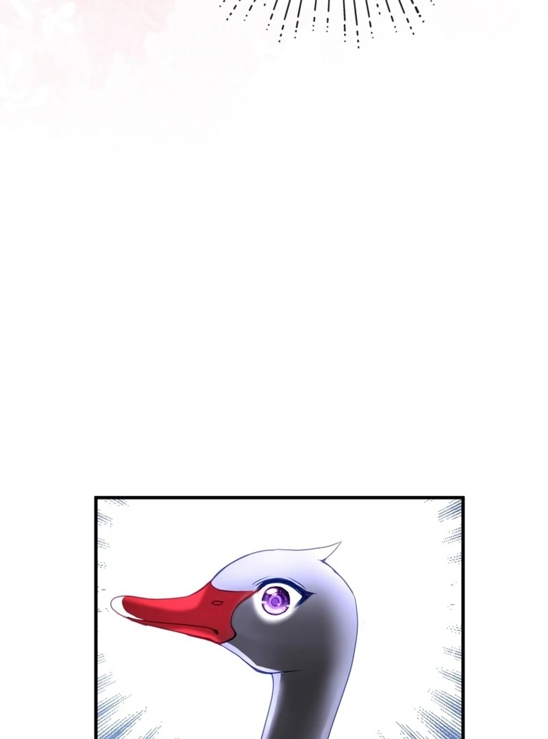 I Became The Black Swan Mother of The White Swan Princess Chapter 9 442 ch 9 102