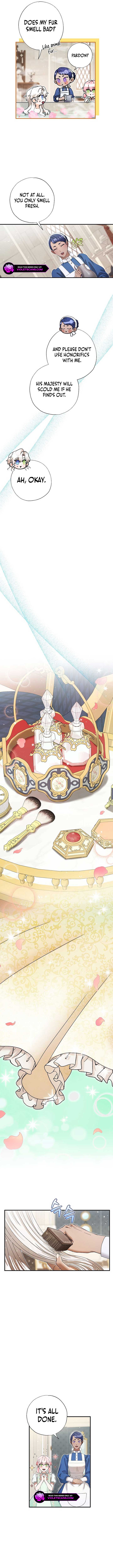 I Became the Emperor's Cat Chapter 42 42 4